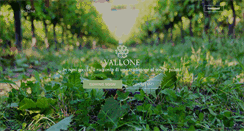 Desktop Screenshot of agricolevallone.it